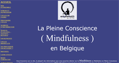 Desktop Screenshot of mindfulness-belgium.net